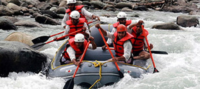 Our Favourites - Collection