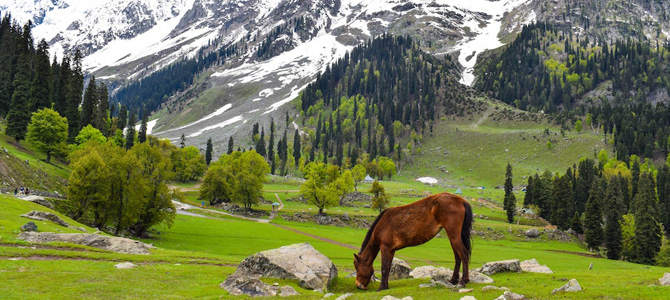 Our Favourites - Collection